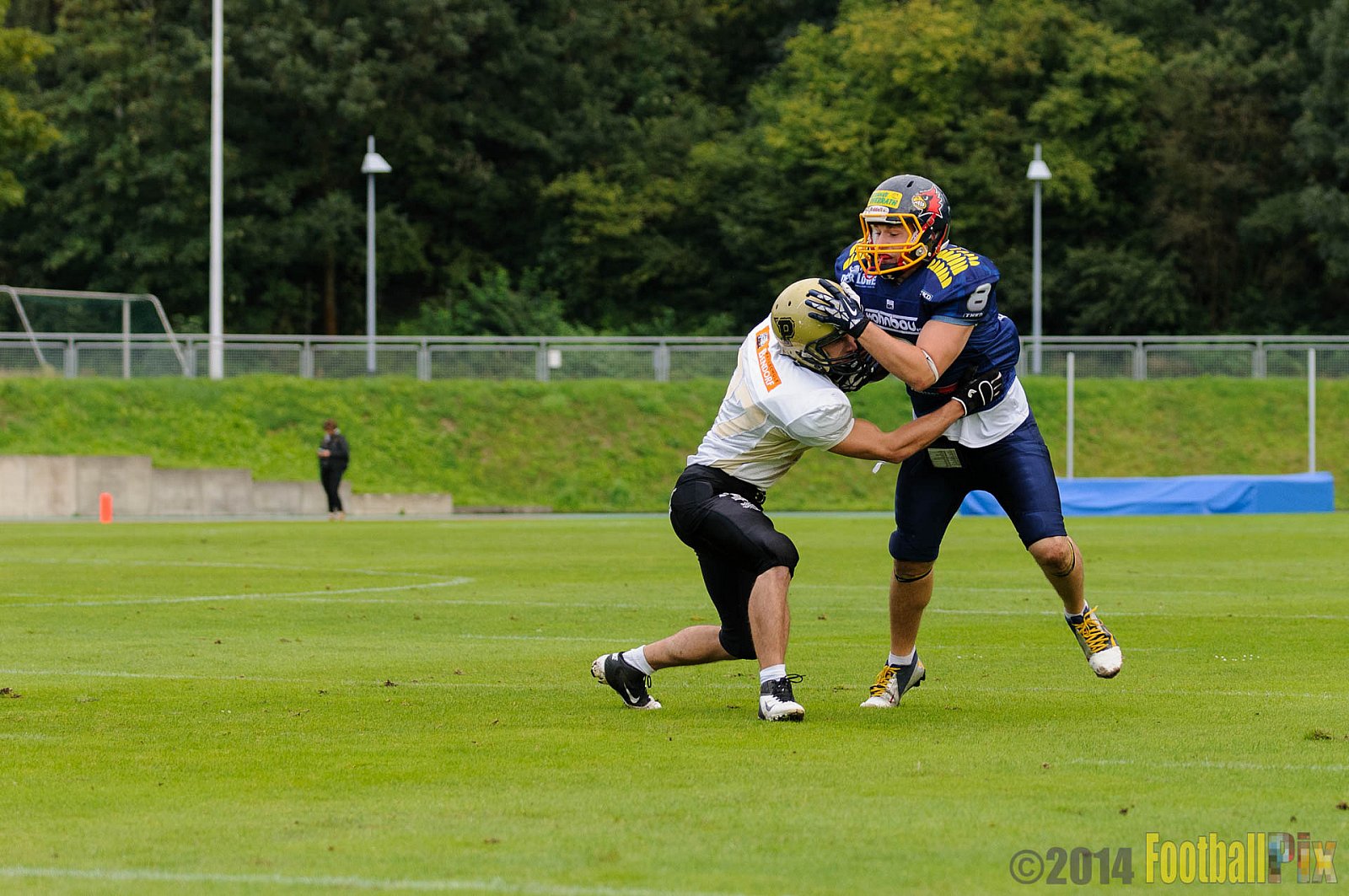 Essen Assindia Cardinals vs. Paderborn Dolphins - 23.08.2014 Essen Assindia Cardinals vs. Paderborn Dolphins (7:35) 