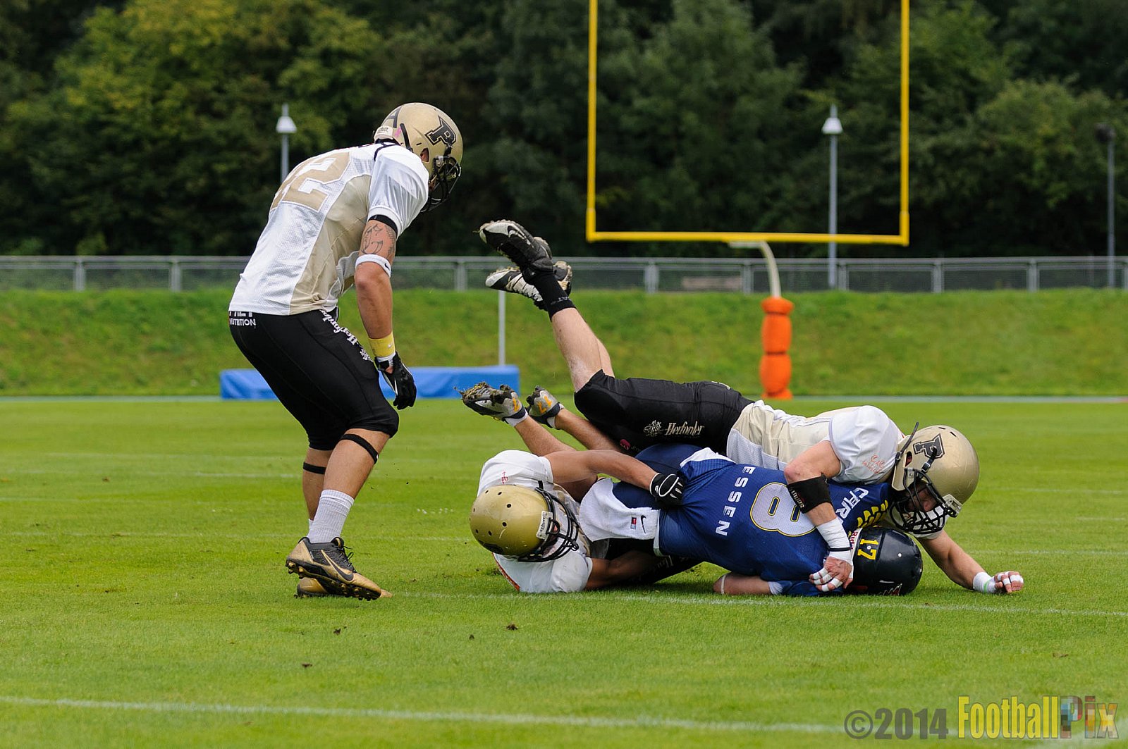 Essen Assindia Cardinals vs. Paderborn Dolphins - 23.08.2014 Essen Assindia Cardinals vs. Paderborn Dolphins (7:35) 