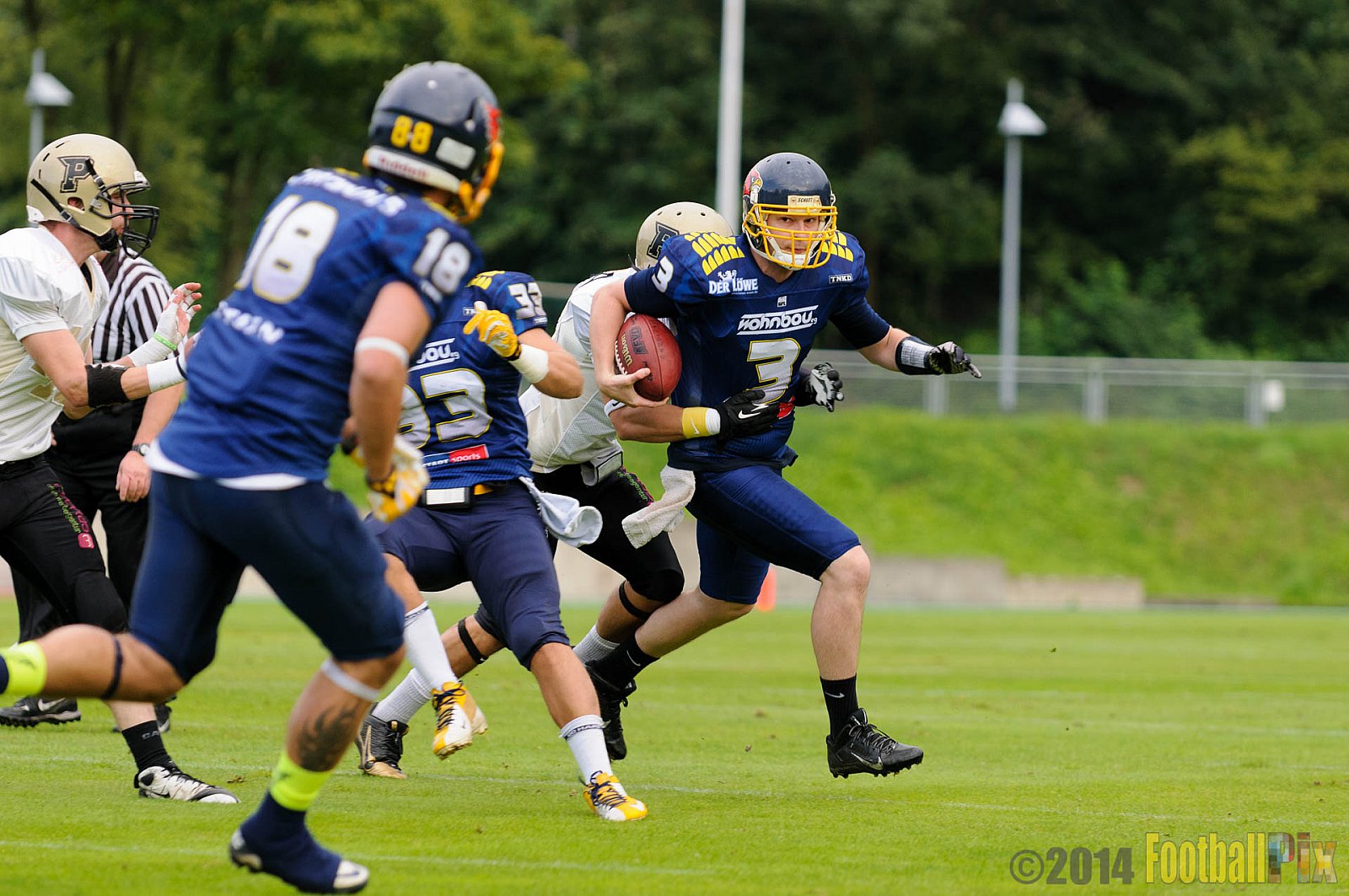 Essen Assindia Cardinals vs. Paderborn Dolphins - 23.08.2014 Essen Assindia Cardinals vs. Paderborn Dolphins (7:35) 