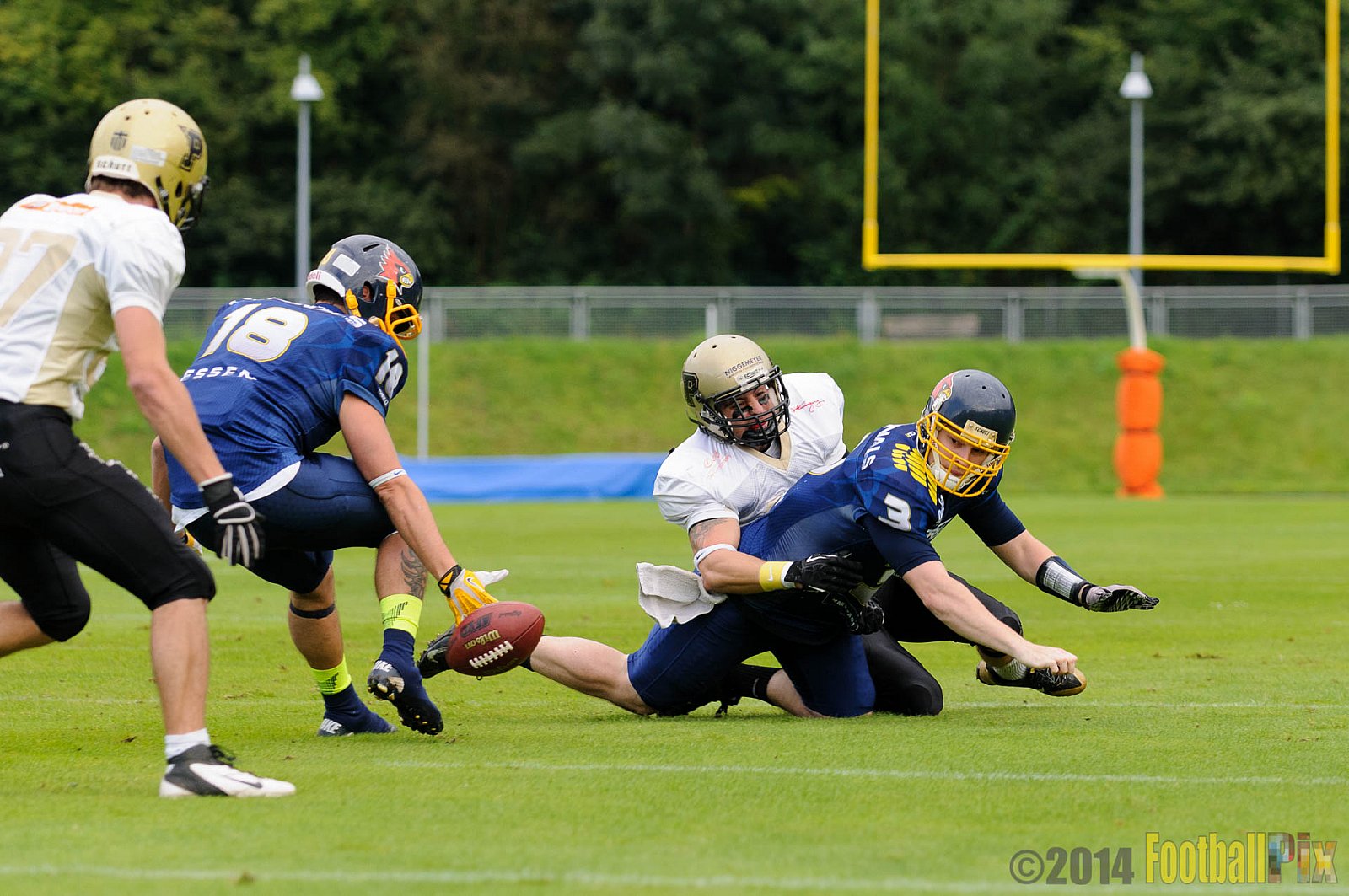 Essen Assindia Cardinals vs. Paderborn Dolphins - 23.08.2014 Essen Assindia Cardinals vs. Paderborn Dolphins (7:35) 