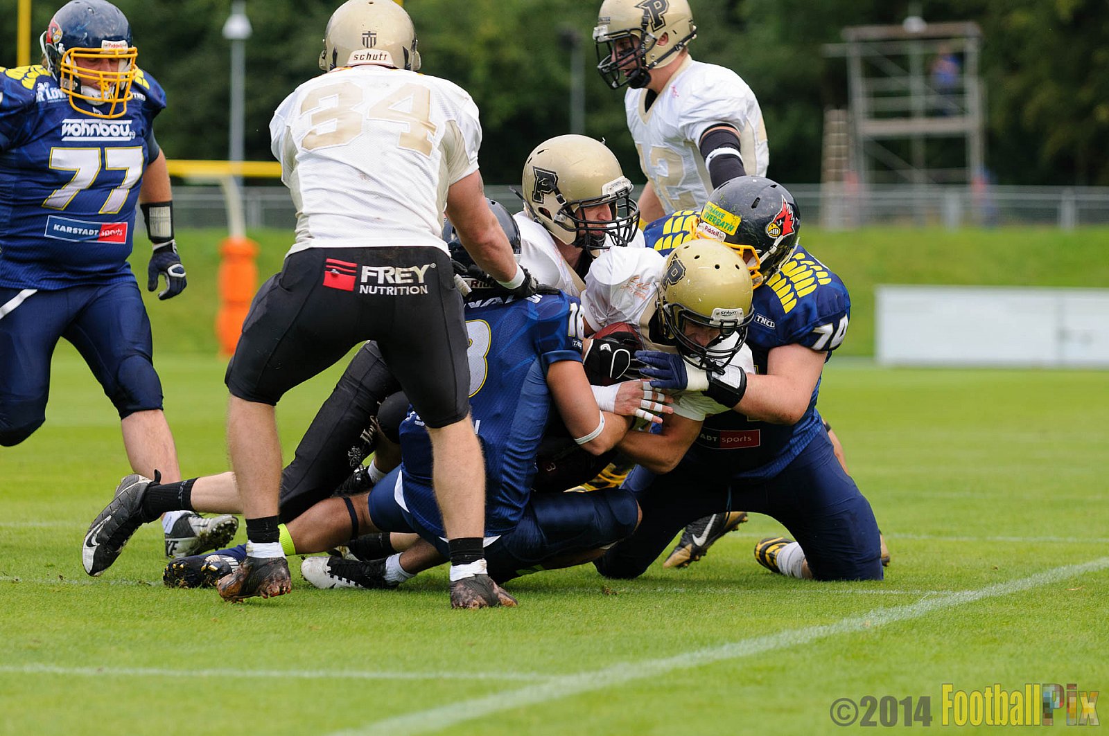 Essen Assindia Cardinals vs. Paderborn Dolphins - 23.08.2014 Essen Assindia Cardinals vs. Paderborn Dolphins (7:35) 