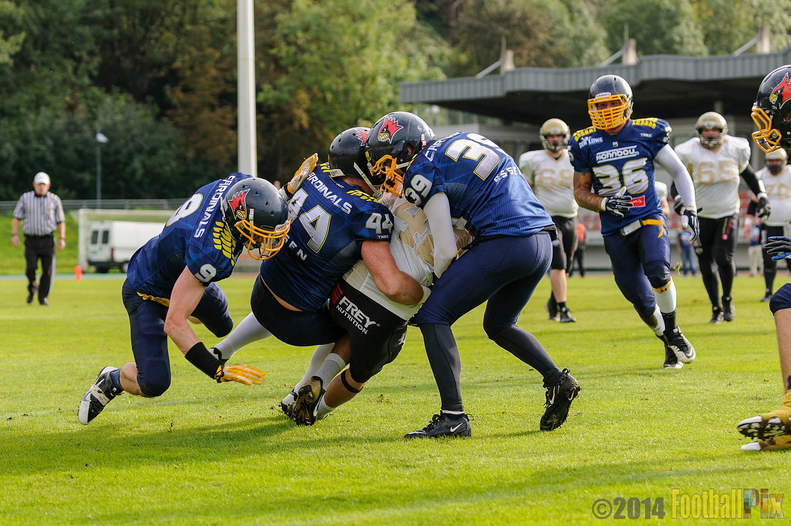 Essen Assindia Cardinals vs. Paderborn Dolphins - 23.08.2014 Essen Assindia Cardinals vs. Paderborn Dolphins (7:35) 