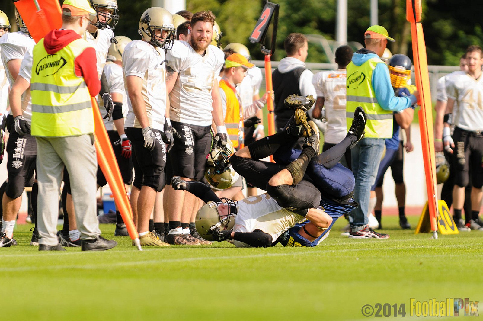 Essen Assindia Cardinals vs. Paderborn Dolphins - 23.08.2014 Essen Assindia Cardinals vs. Paderborn Dolphins (7:35) 