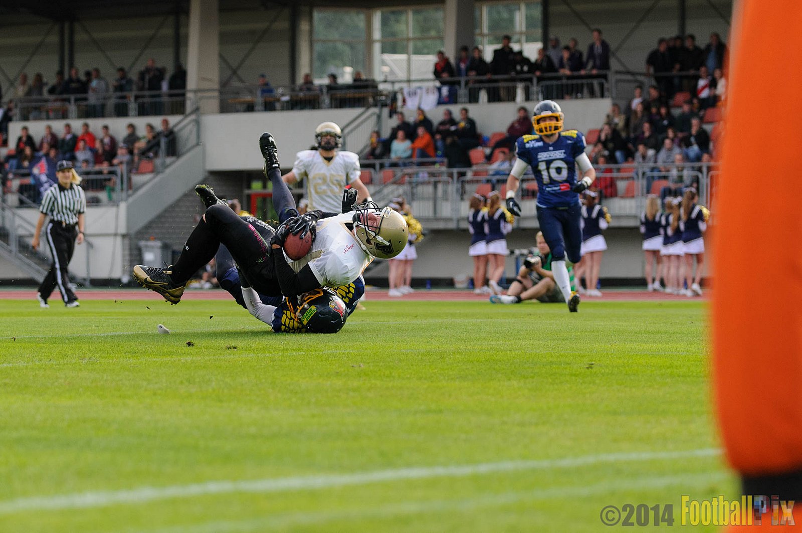Essen Assindia Cardinals vs. Paderborn Dolphins - 23.08.2014 Essen Assindia Cardinals vs. Paderborn Dolphins (7:35) 