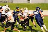 Essen Assindia Cardinals vs. Paderborn Dolphins - 23.08.2014 Essen Assindia Cardinals vs. Paderborn Dolphins (7:35) 