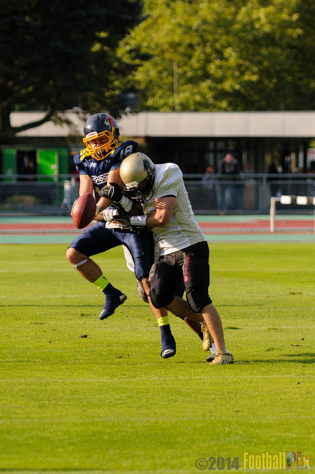Essen Assindia Cardinals vs. Paderborn Dolphins - 23.08.2014 Essen Assindia Cardinals vs. Paderborn Dolphins (7:35) 