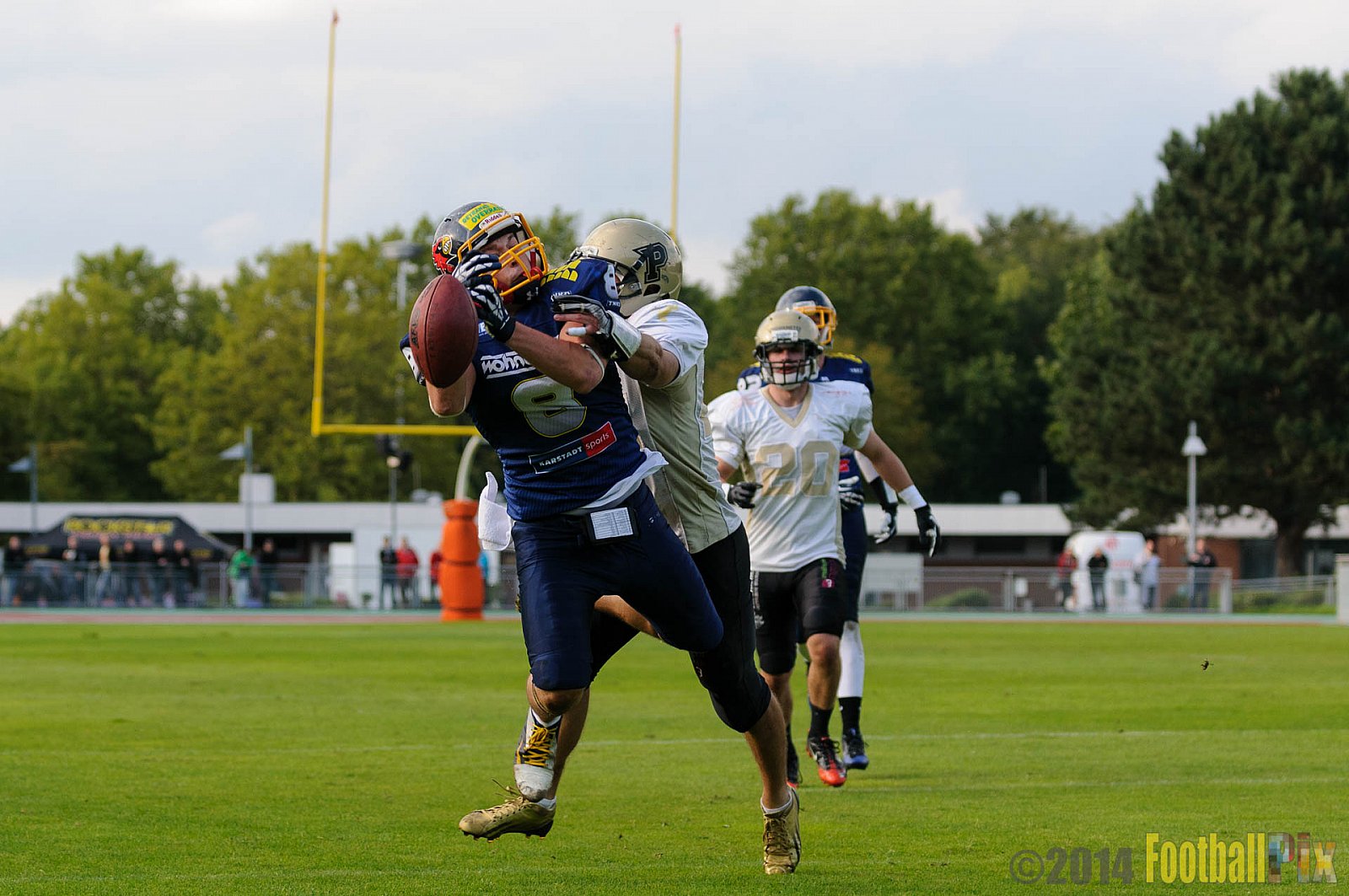 Essen Assindia Cardinals vs. Paderborn Dolphins - 23.08.2014 Essen Assindia Cardinals vs. Paderborn Dolphins (7:35) 
