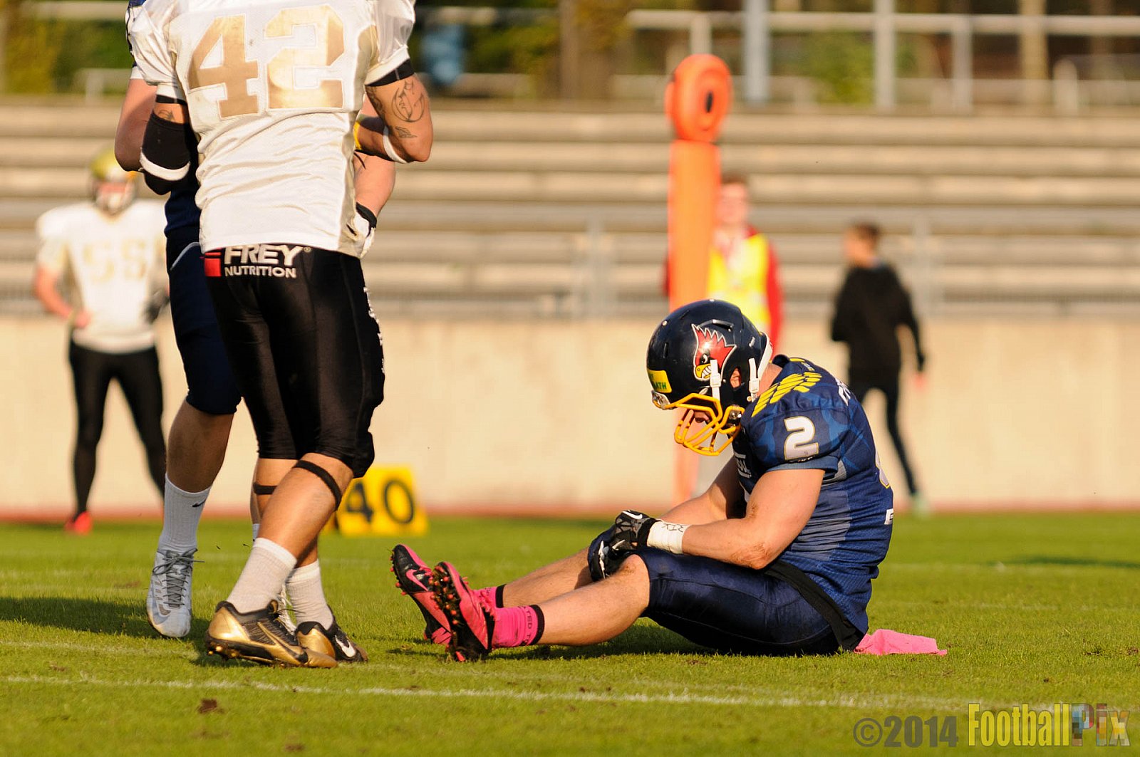 Essen Assindia Cardinals vs. Paderborn Dolphins - 23.08.2014 Essen Assindia Cardinals vs. Paderborn Dolphins (7:35) 