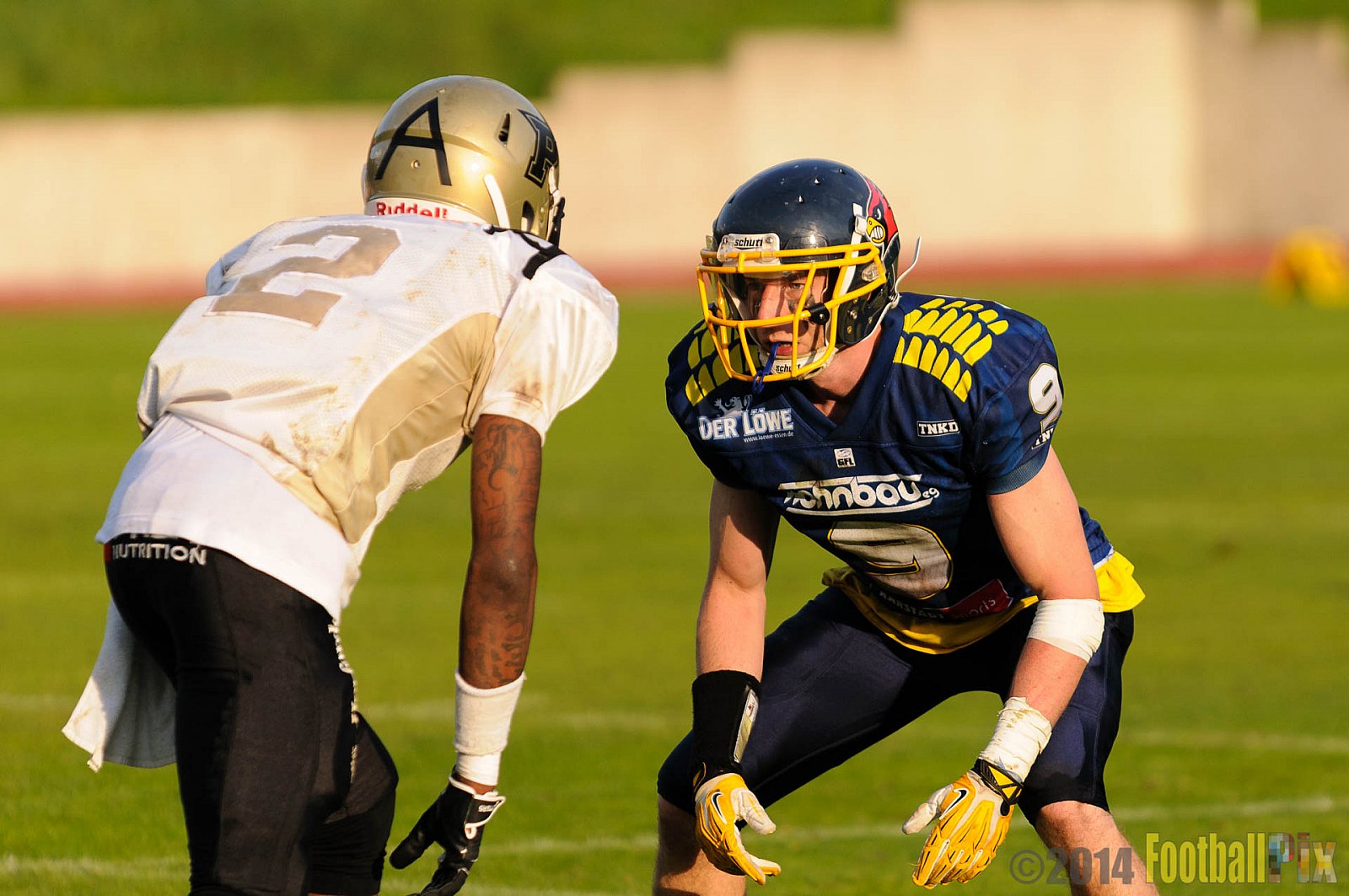 Essen Assindia Cardinals vs. Paderborn Dolphins - 23.08.2014 Essen Assindia Cardinals vs. Paderborn Dolphins (7:35) 