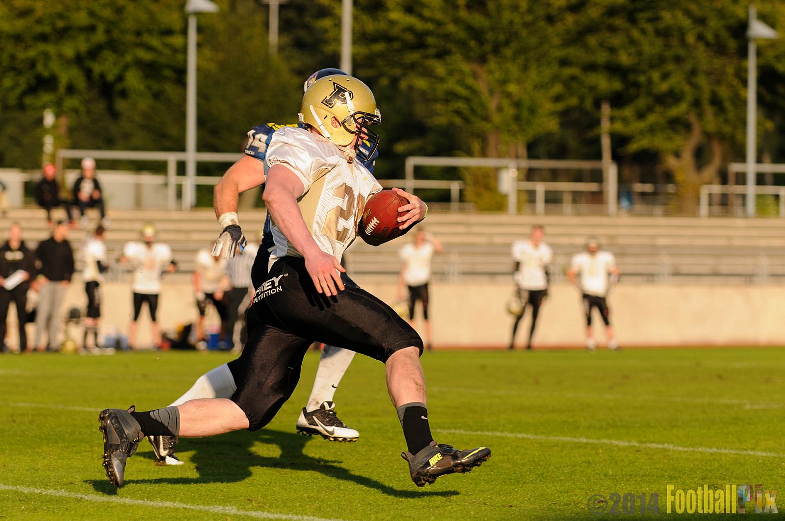 Essen Assindia Cardinals vs. Paderborn Dolphins - 23.08.2014 Essen Assindia Cardinals vs. Paderborn Dolphins (7:35) 