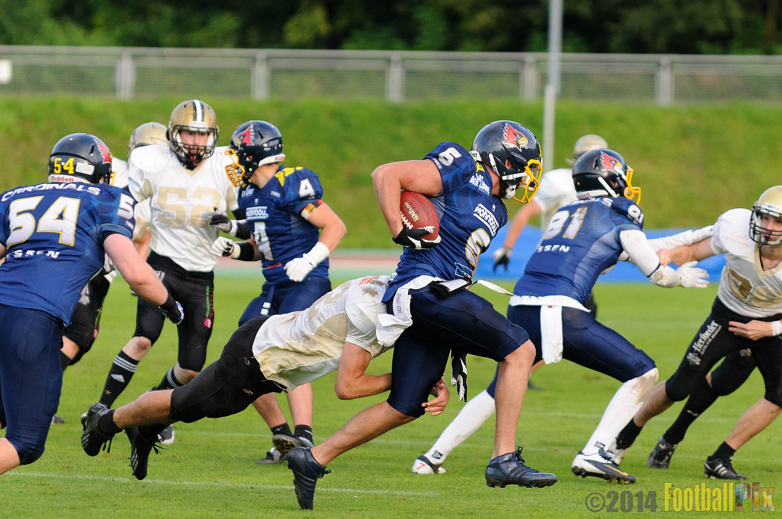 Essen Assindia Cardinals vs. Paderborn Dolphins - 23.08.2014 Essen Assindia Cardinals vs. Paderborn Dolphins (7:35) 