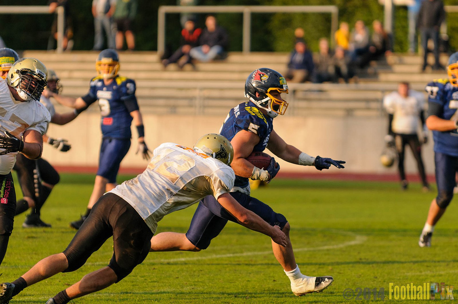 Essen Assindia Cardinals vs. Paderborn Dolphins - 23.08.2014 Essen Assindia Cardinals vs. Paderborn Dolphins (7:35) 
