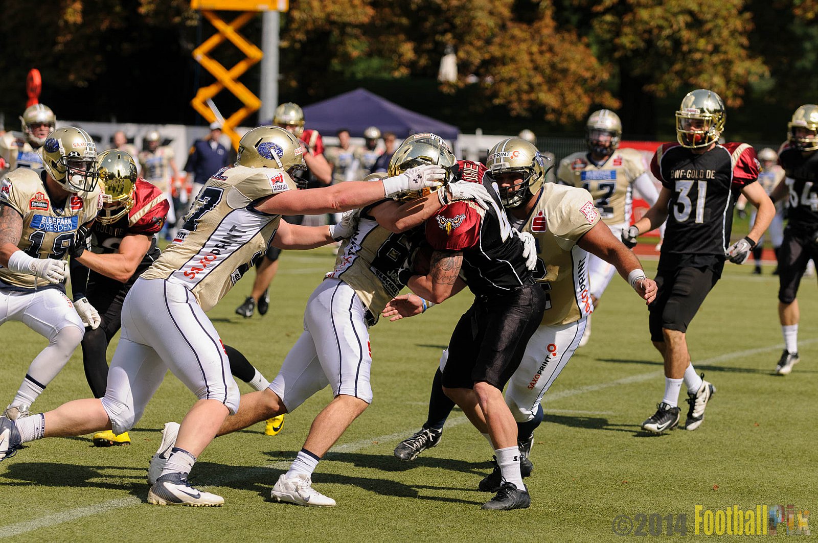 Köln Falcons vs. Dresden Monarchs - 24.08.2014 GFL Nord: Köln Falcons vs. Dresden Monarchs (25:39) 