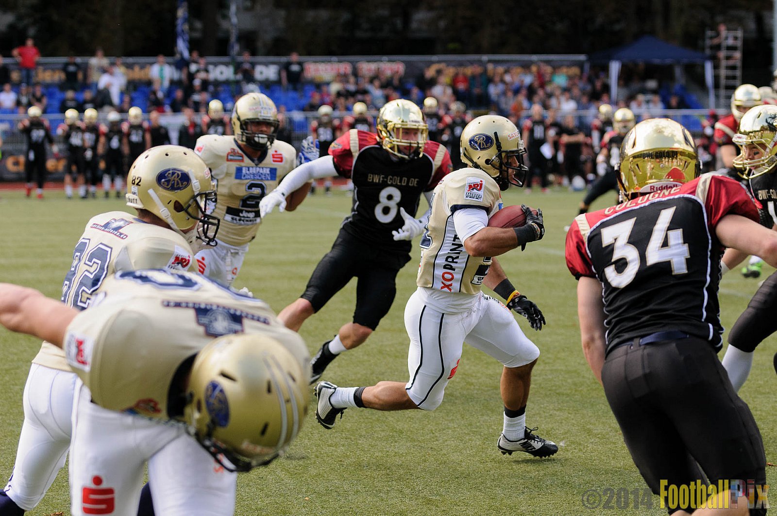 Köln Falcons vs. Dresden Monarchs - 24.08.2014 GFL Nord: Köln Falcons vs. Dresden Monarchs (25:39) 