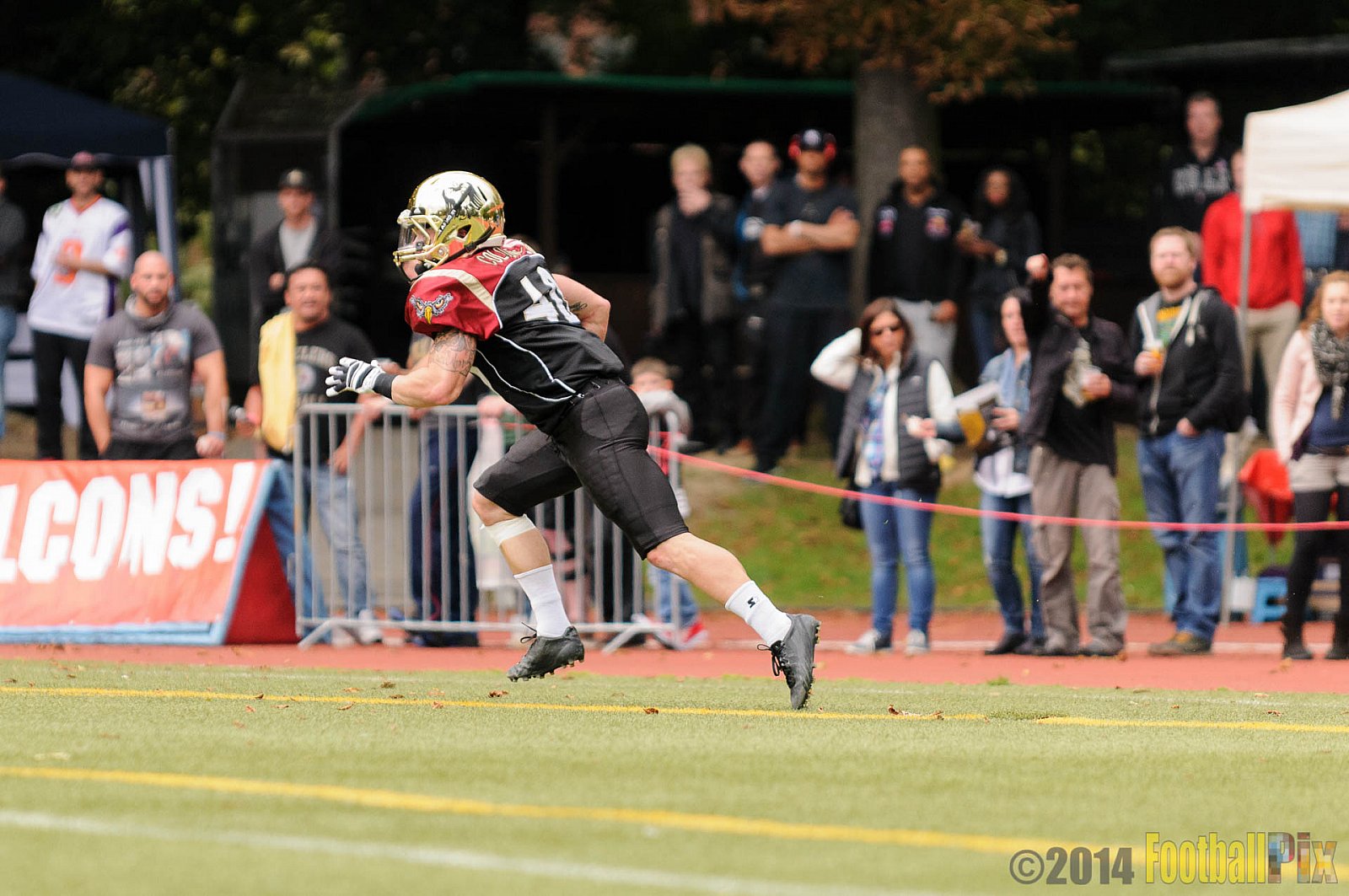 Köln Falcons vs. Dresden Monarchs - 24.08.2014 GFL Nord: Köln Falcons vs. Dresden Monarchs (25:39) 