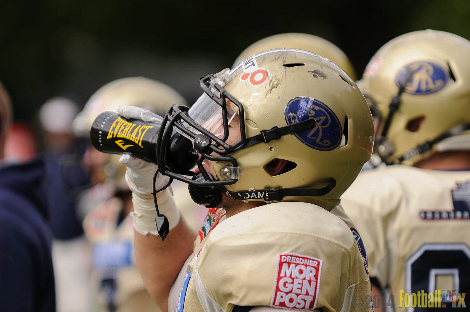 Köln Falcons vs. Dresden Monarchs - 24.08.2014 GFL Nord: Köln Falcons vs. Dresden Monarchs (25:39) 