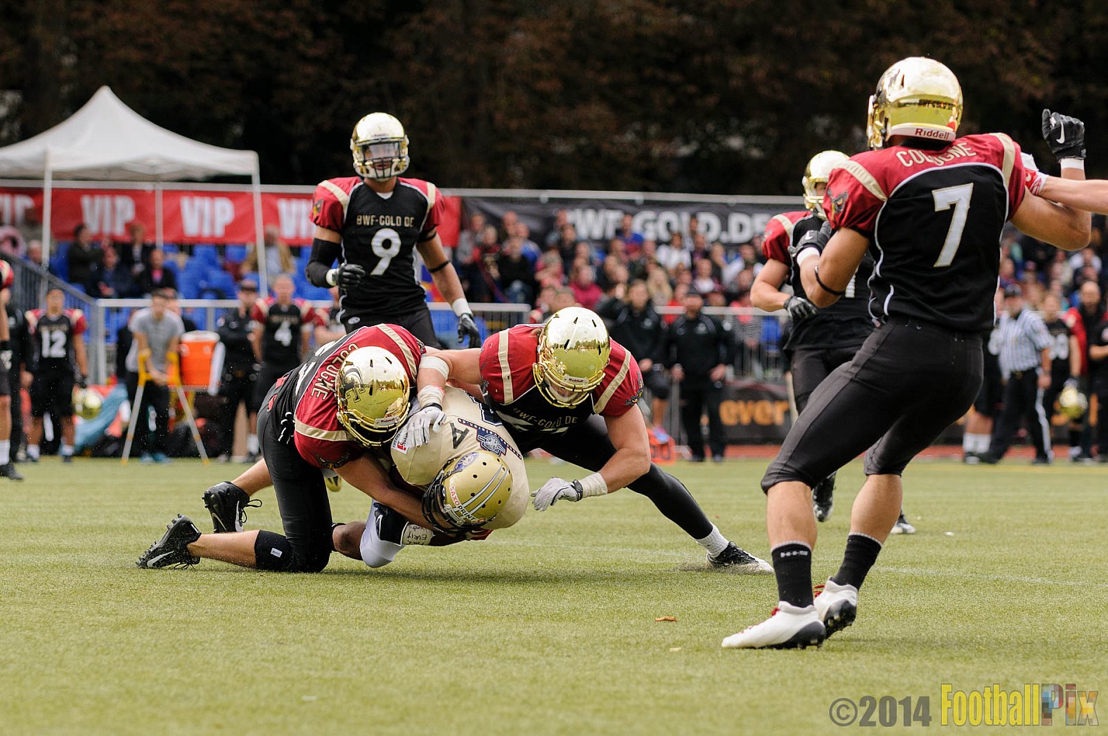 Köln Falcons vs. Dresden Monarchs - 24.08.2014 GFL Nord: Köln Falcons vs. Dresden Monarchs (25:39) 