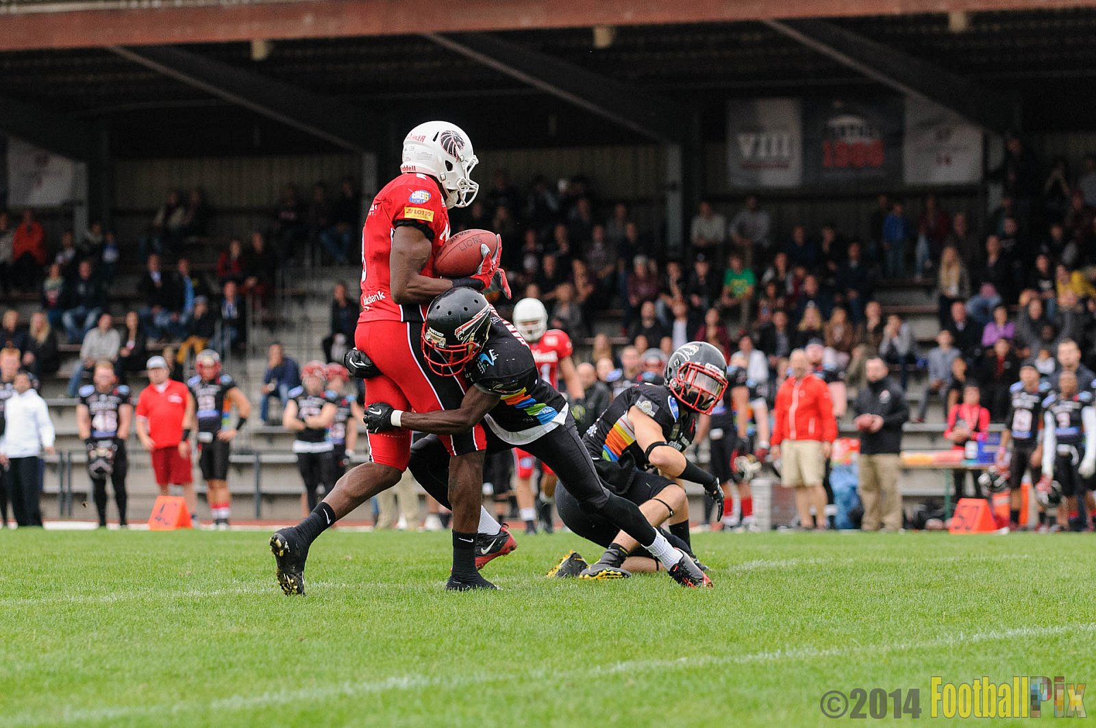 Düsseldorf Panther vs. New Yorker Lions - 30.08.2014 GFL Nord: Düsseldorf Panther vs. New Yorker Lions (0:58) 
