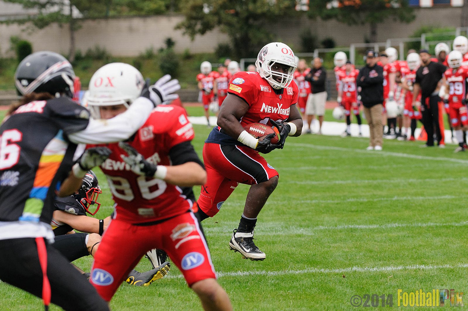 Düsseldorf Panther vs. New Yorker Lions - 30.08.2014 GFL Nord: Düsseldorf Panther vs. New Yorker Lions (0:58) 