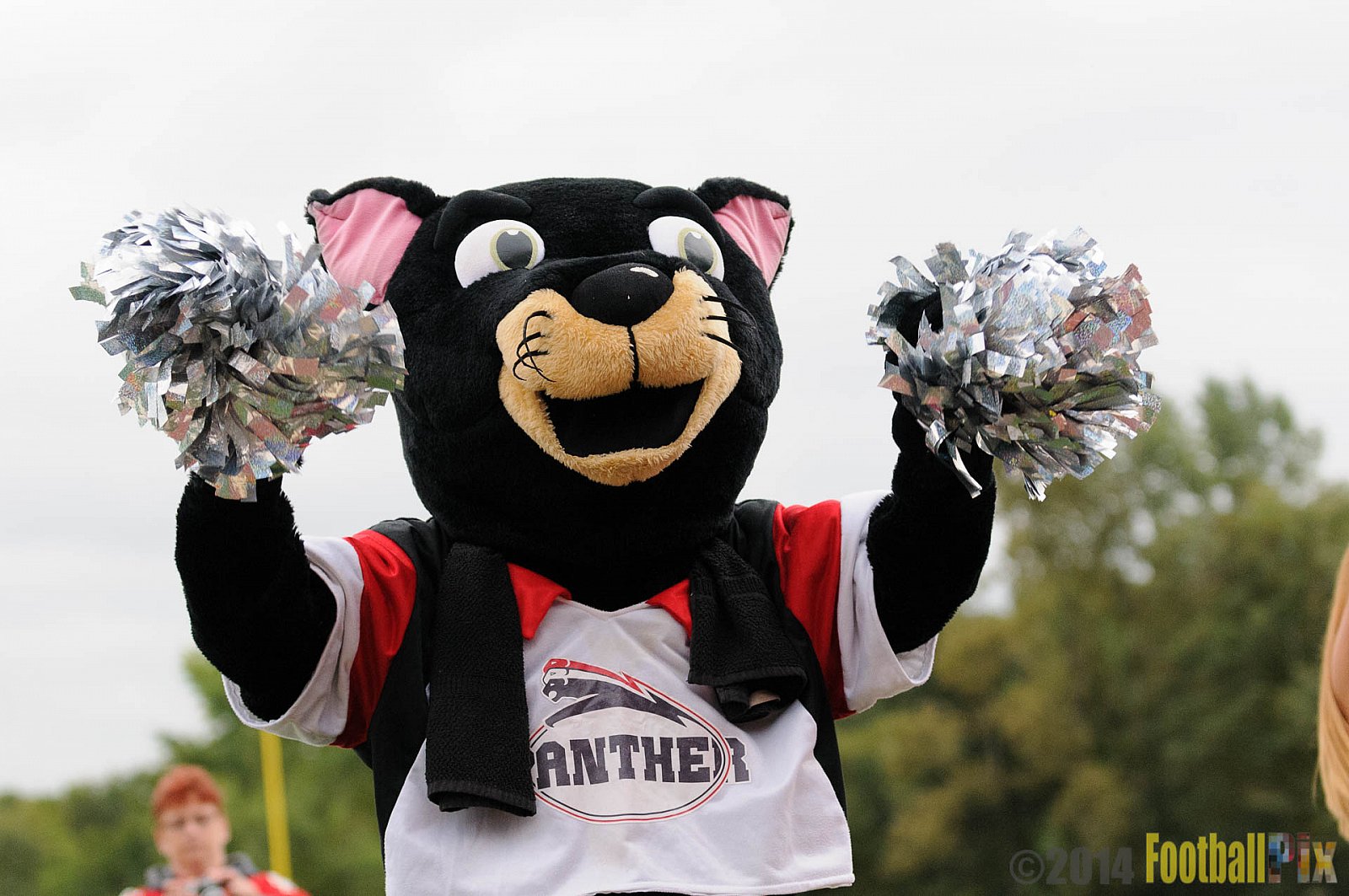 Düsseldorf Panther vs. New Yorker Lions - 30.08.2014 GFL Nord: Düsseldorf Panther vs. New Yorker Lions (0:58) 