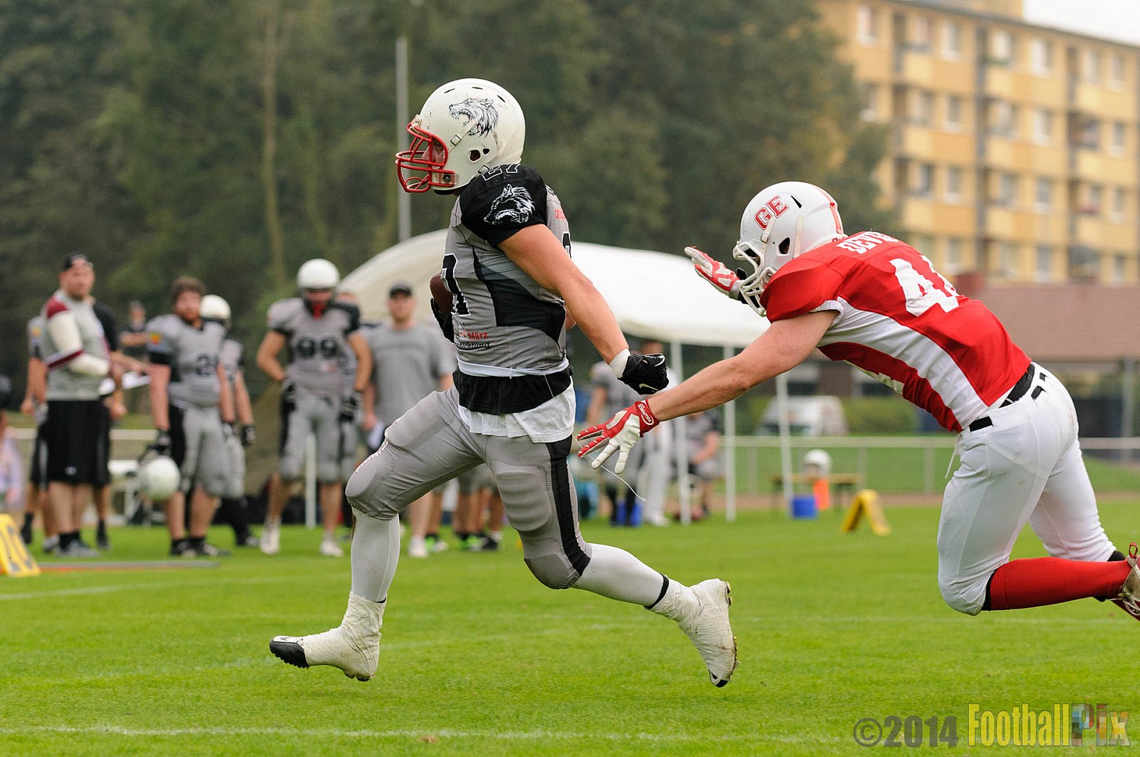Gelsenkirchen Devils vs. Mönchengladbach Wolfpack  - 06.09.2014 Gelsenkirchen Devils vs. Mönchengladbach Wolfpack (26:20) 