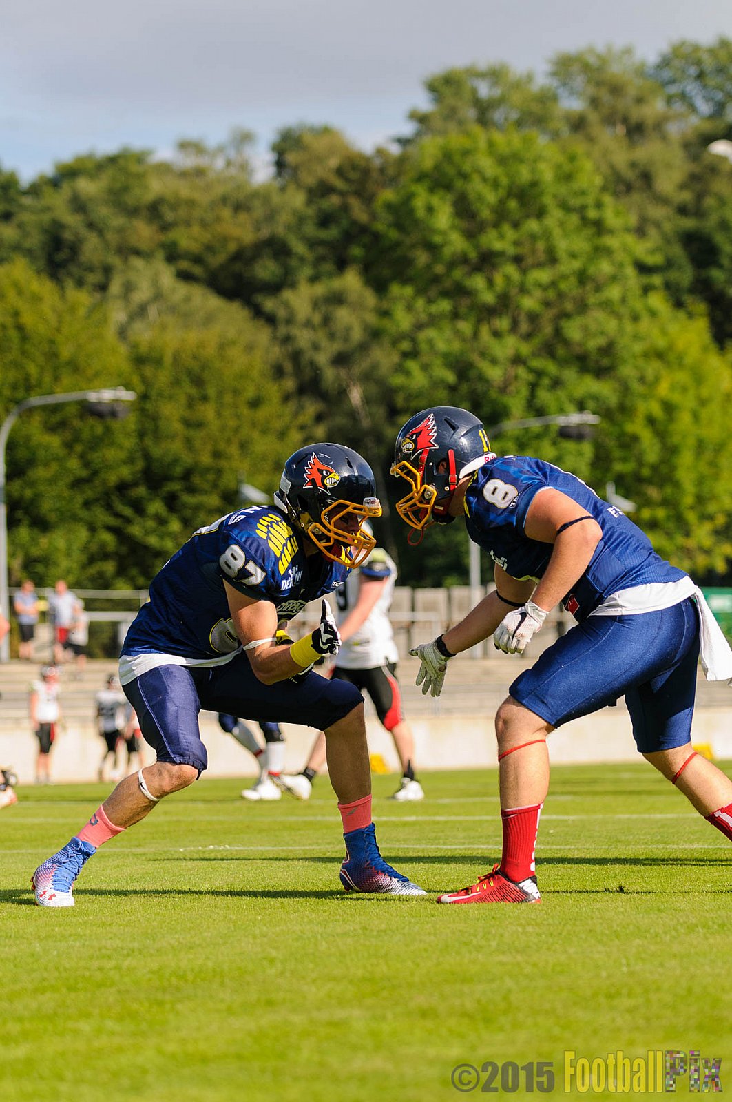 Essen Assindia Cardinals vs. Solingen Paladins - 29.08.2015 RL NRW: Essen Assindia Cardinals vs. Solingen Paladins (33:07)