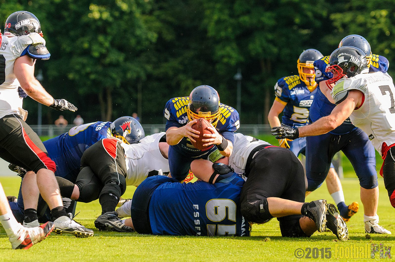 Essen Assindia Cardinals vs. Solingen Paladins - 29.08.2015 RL NRW: Essen Assindia Cardinals vs. Solingen Paladins (33:07)