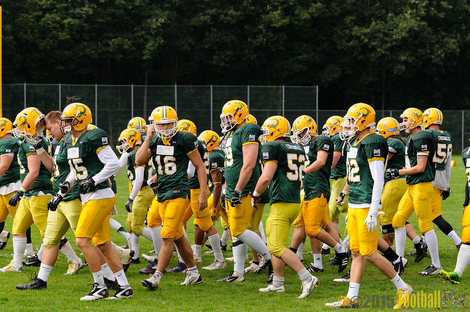 Cologne Crocodiles vs. Lübeck Cougars - 05.09.2015 GFL2 Nord: Cologne Crocodiles vs. Lübeck Cougars (19:35)