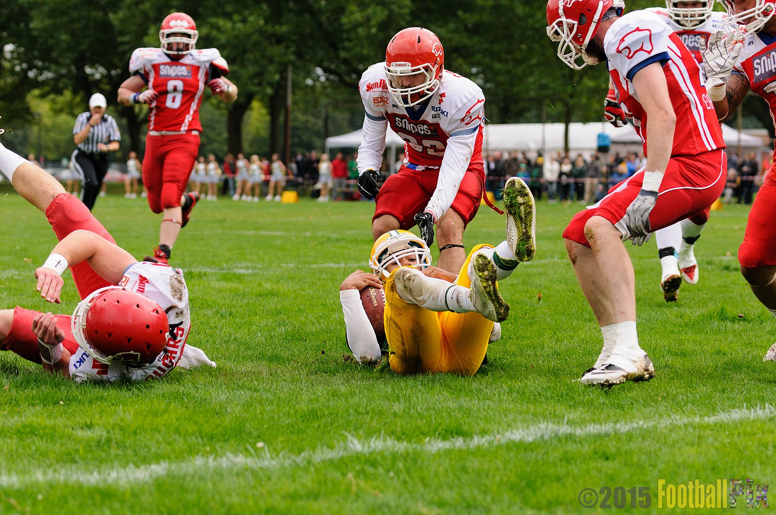 Cologne Crocodiles vs. Lübeck Cougars - 05.09.2015 GFL2 Nord: Cologne Crocodiles vs. Lübeck Cougars (19:35)