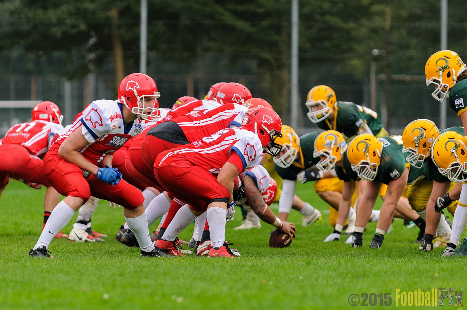 Cologne Crocodiles vs. Lübeck Cougars - 05.09.2015 GFL2 Nord: Cologne Crocodiles vs. Lübeck Cougars (19:35)
