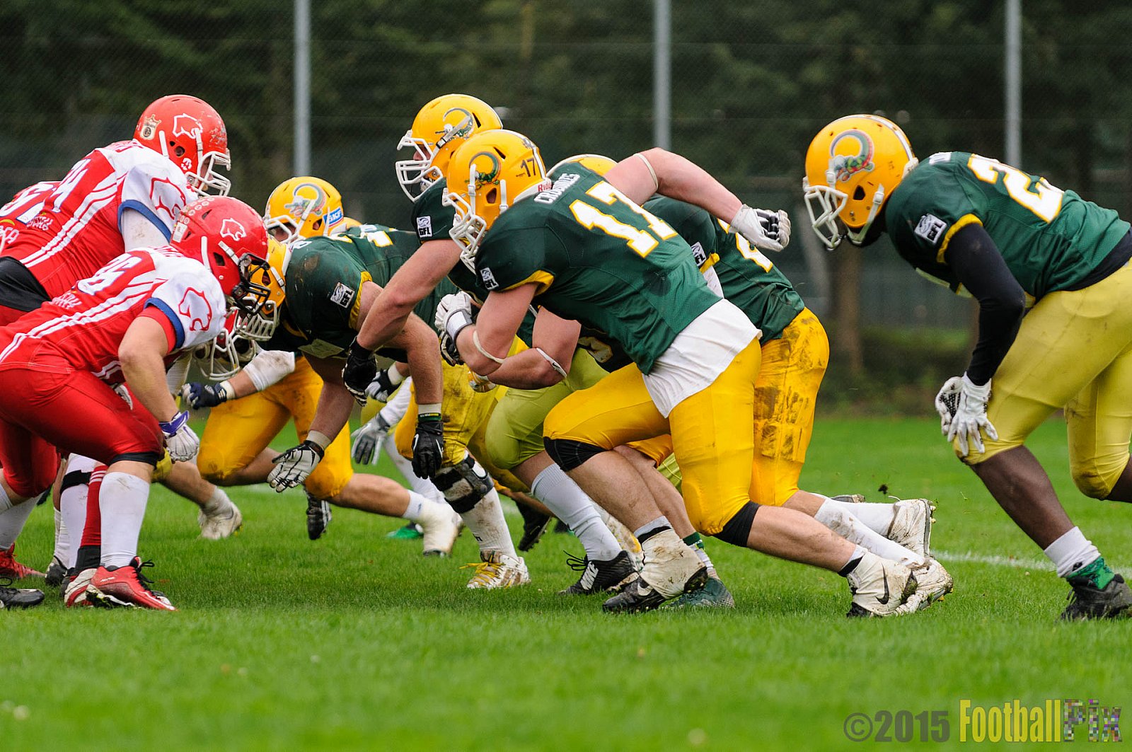 Cologne Crocodiles vs. Lübeck Cougars - 05.09.2015 GFL2 Nord: Cologne Crocodiles vs. Lübeck Cougars (19:35)