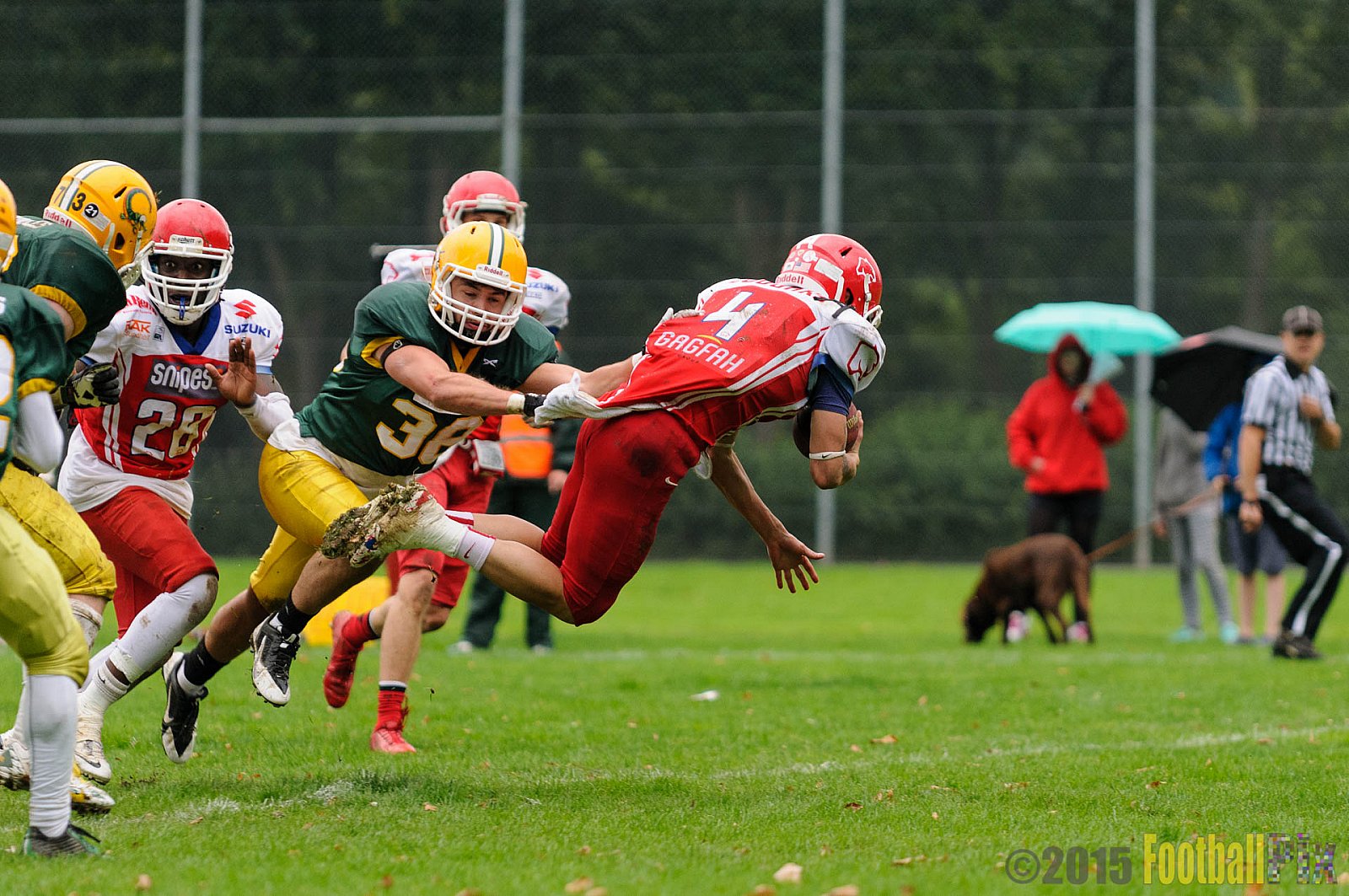 Cologne Crocodiles vs. Lübeck Cougars - 05.09.2015 GFL2 Nord: Cologne Crocodiles vs. Lübeck Cougars (19:35)