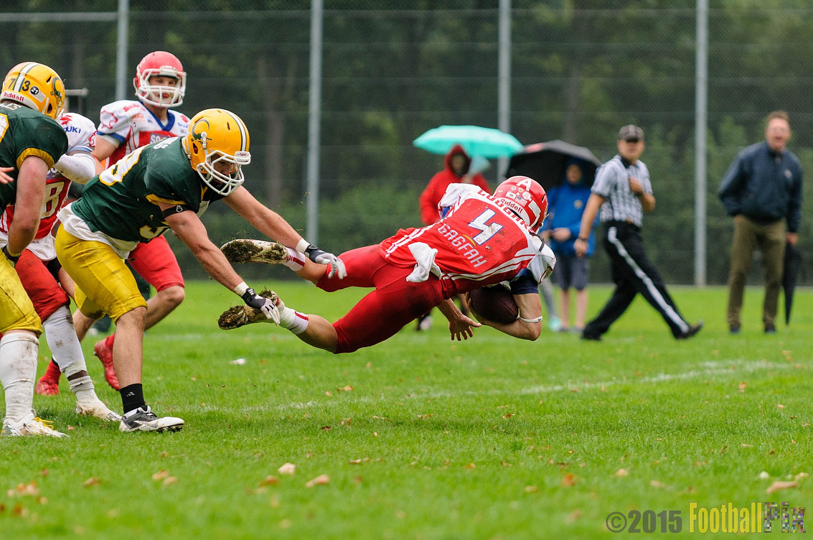 Cologne Crocodiles vs. Lübeck Cougars - 05.09.2015 GFL2 Nord: Cologne Crocodiles vs. Lübeck Cougars (19:35)