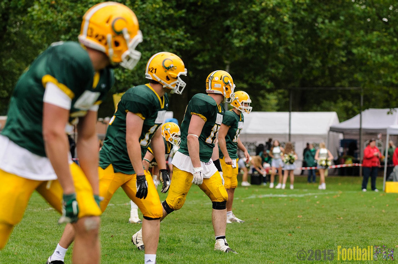 Cologne Crocodiles vs. Lübeck Cougars - 05.09.2015 GFL2 Nord: Cologne Crocodiles vs. Lübeck Cougars (19:35)