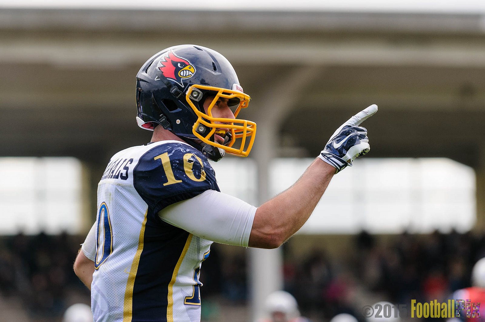 Remscheid Amboss vs. Essen Assindia Cardinals - 06.09.2015 RL NRW: Remscheid Amboss vs. Essen Assindia Cardinals (28:33)