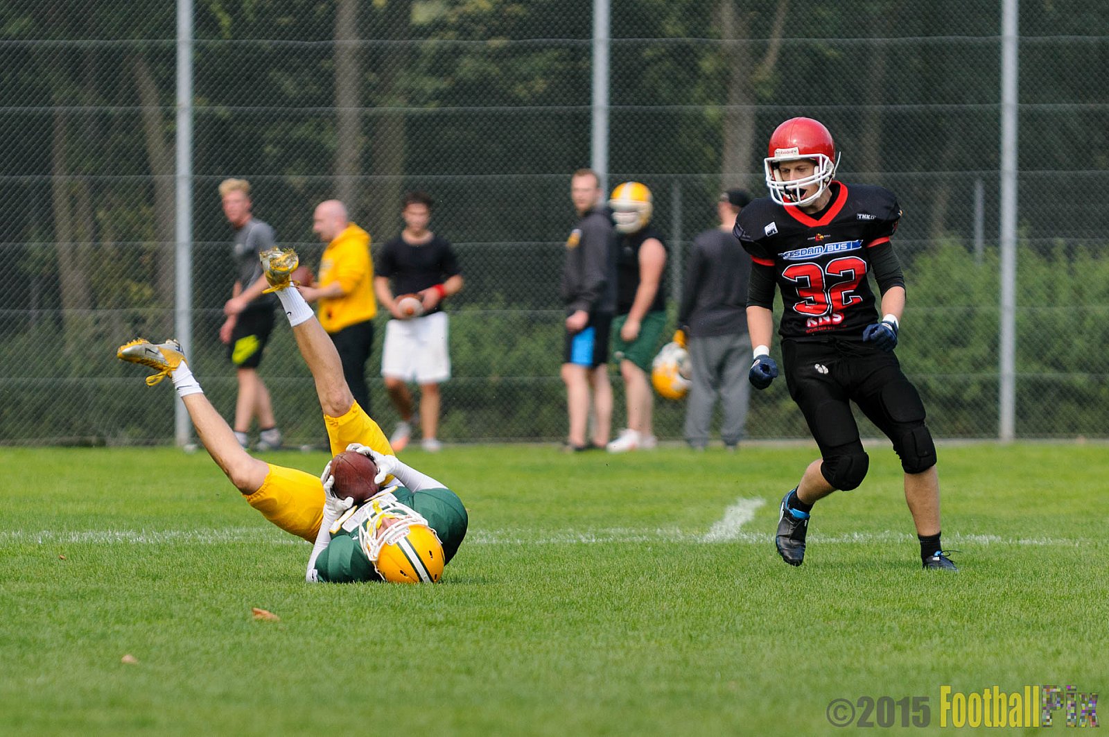Cologne Crocodiles vs. Potsdam Royals - 12.09.2015 GFL2 Nord: Cologne Crocodiles vs. Potsdam Royals (48:21)