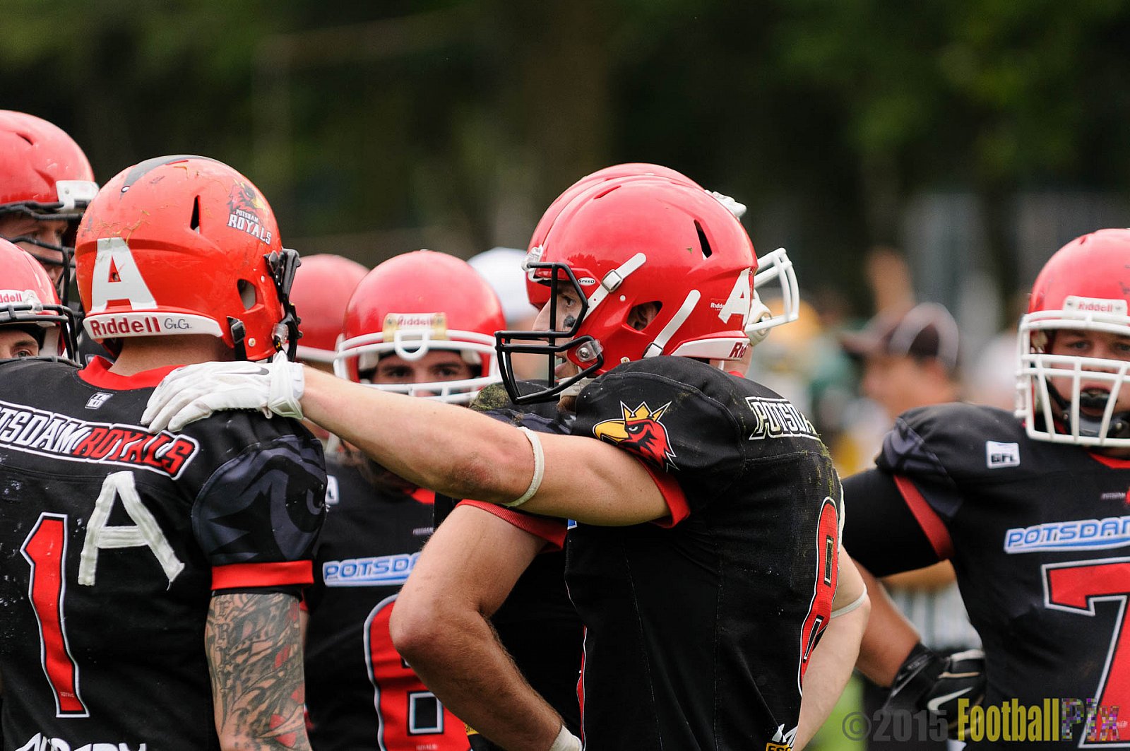 Cologne Crocodiles vs. Potsdam Royals - 12.09.2015 GFL2 Nord: Cologne Crocodiles vs. Potsdam Royals (48:21)
