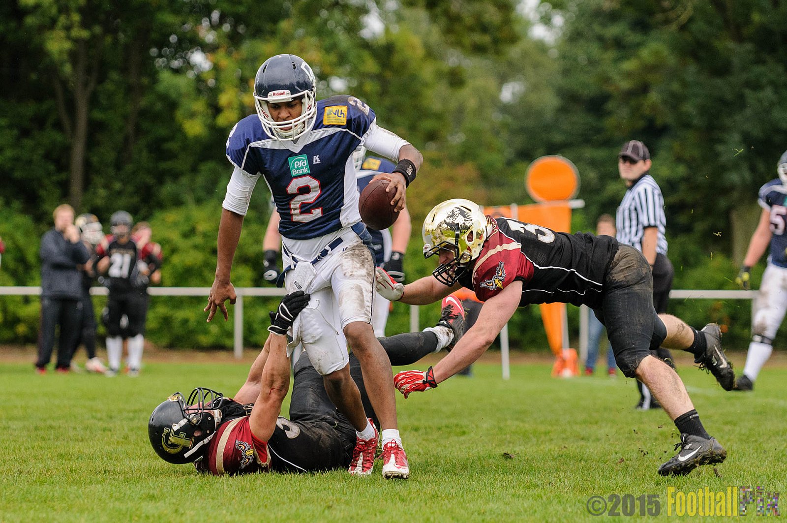 Dortmund Giants vs. Cologne Falcons - 13.09.2015 OL NRW: Dortmund Giants vs. Cologne Falcons (12:44)