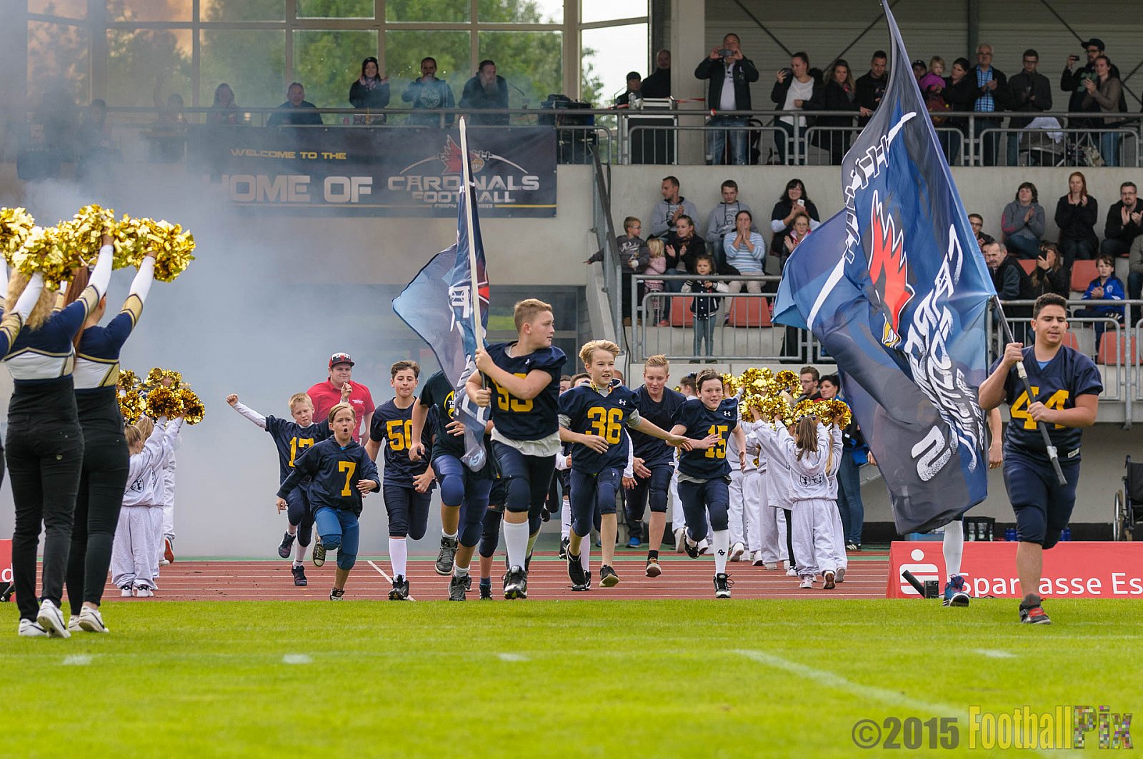 Essen Assindia Cardinals vs. Ritterhude Badgers - 19.09.2015 RL NRW: Essen Assindia Cardinals vs. Ritterhude Badgers (43:0)