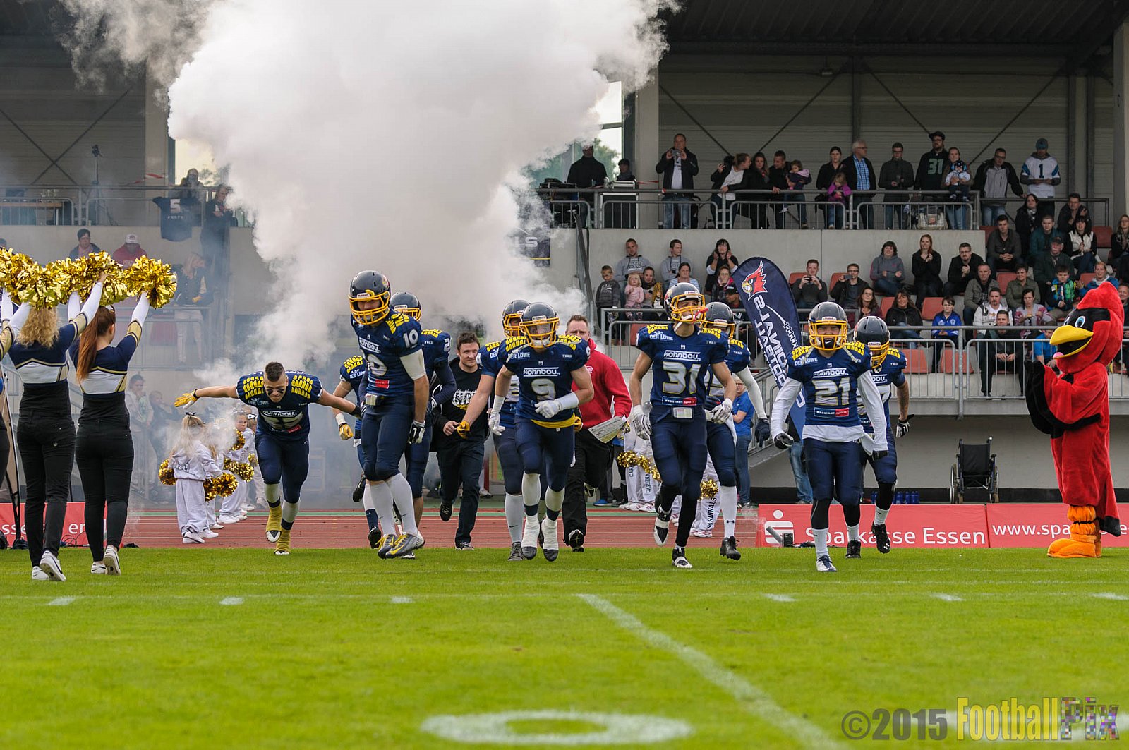 Essen Assindia Cardinals vs. Ritterhude Badgers - 19.09.2015 RL NRW: Essen Assindia Cardinals vs. Ritterhude Badgers (43:0)