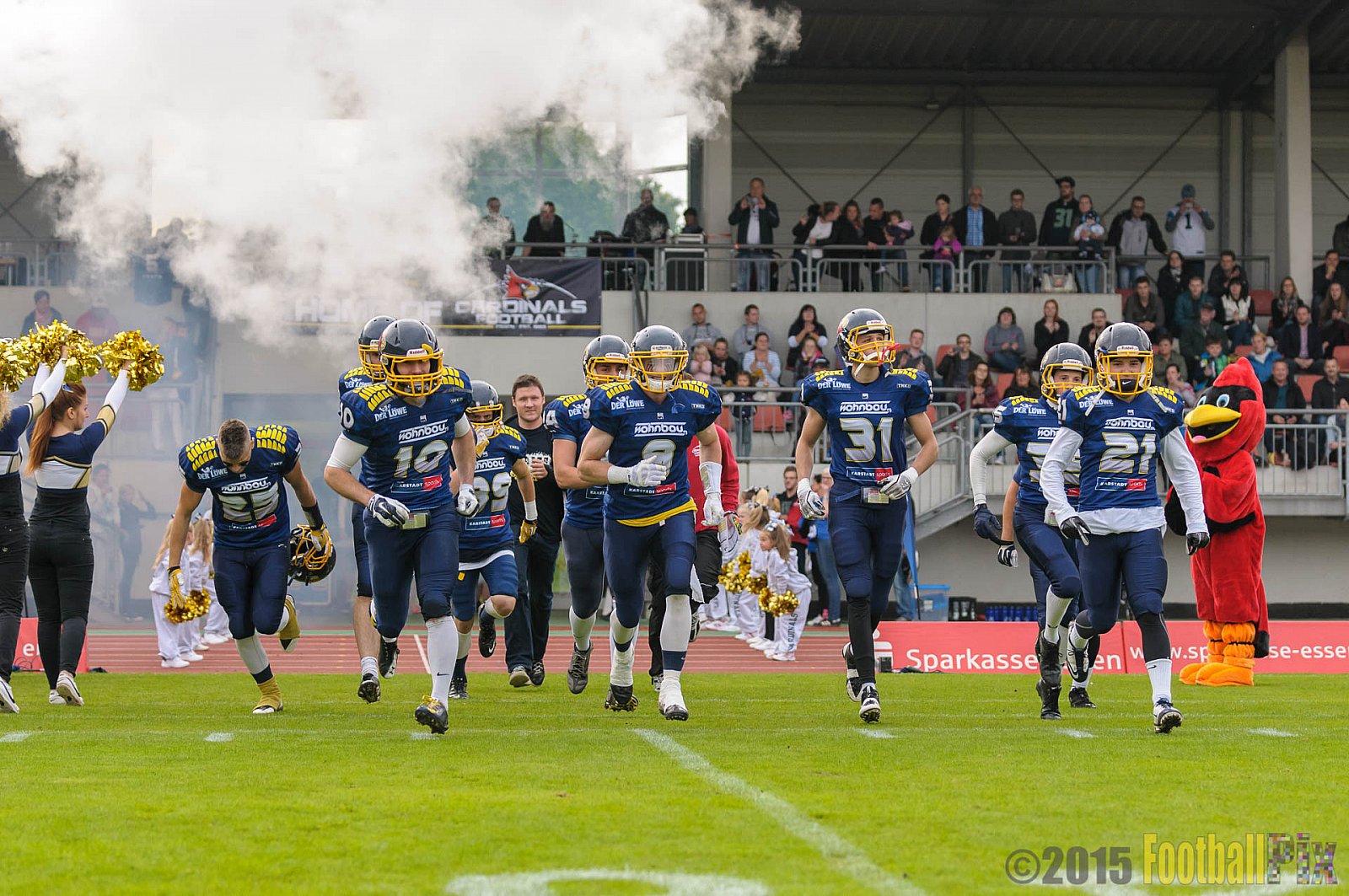 Essen Assindia Cardinals vs. Ritterhude Badgers - 19.09.2015 RL NRW: Essen Assindia Cardinals vs. Ritterhude Badgers (43:0)