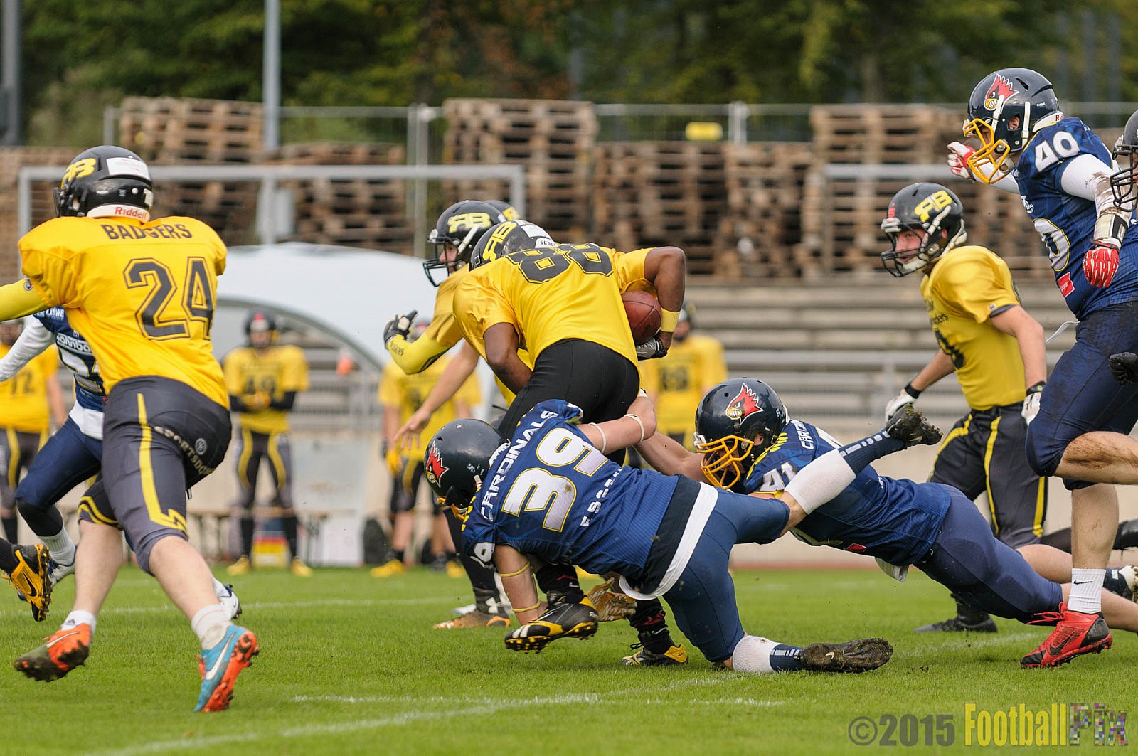 Essen Assindia Cardinals vs. Ritterhude Badgers - 19.09.2015 RL NRW: Essen Assindia Cardinals vs. Ritterhude Badgers (43:0)