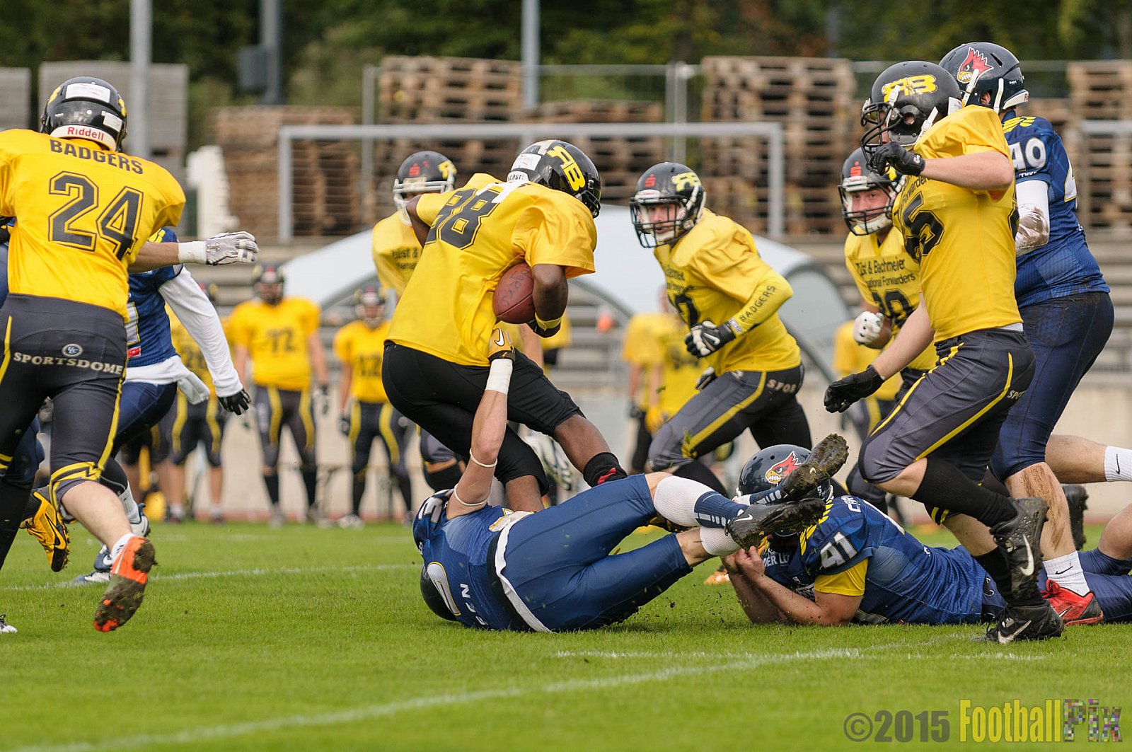Essen Assindia Cardinals vs. Ritterhude Badgers - 19.09.2015 RL NRW: Essen Assindia Cardinals vs. Ritterhude Badgers (43:0)