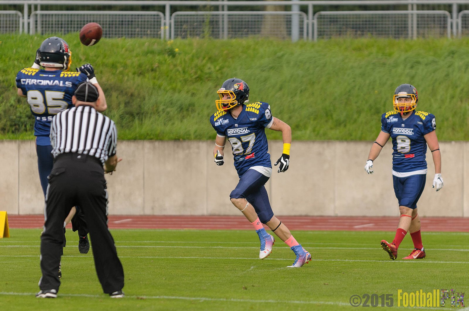 Essen Assindia Cardinals vs. Ritterhude Badgers - 19.09.2015 RL NRW: Essen Assindia Cardinals vs. Ritterhude Badgers (43:0)