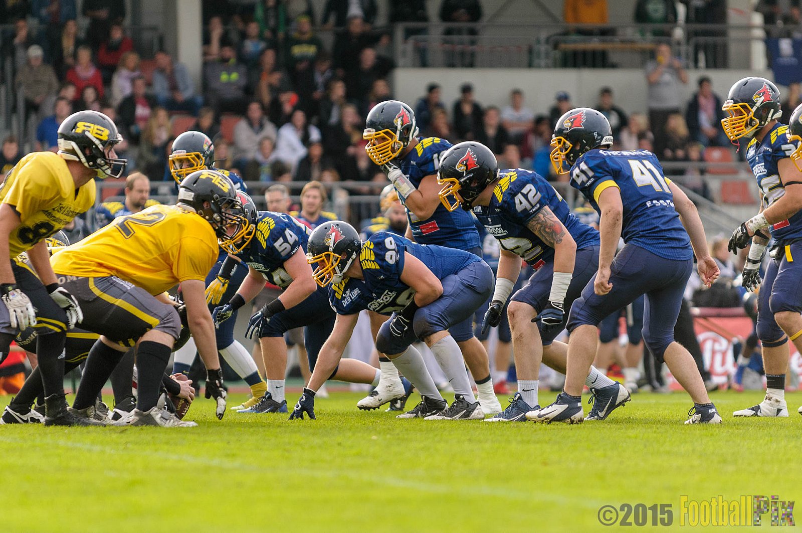 Essen Assindia Cardinals vs. Ritterhude Badgers - 19.09.2015 RL NRW: Essen Assindia Cardinals vs. Ritterhude Badgers (43:0)