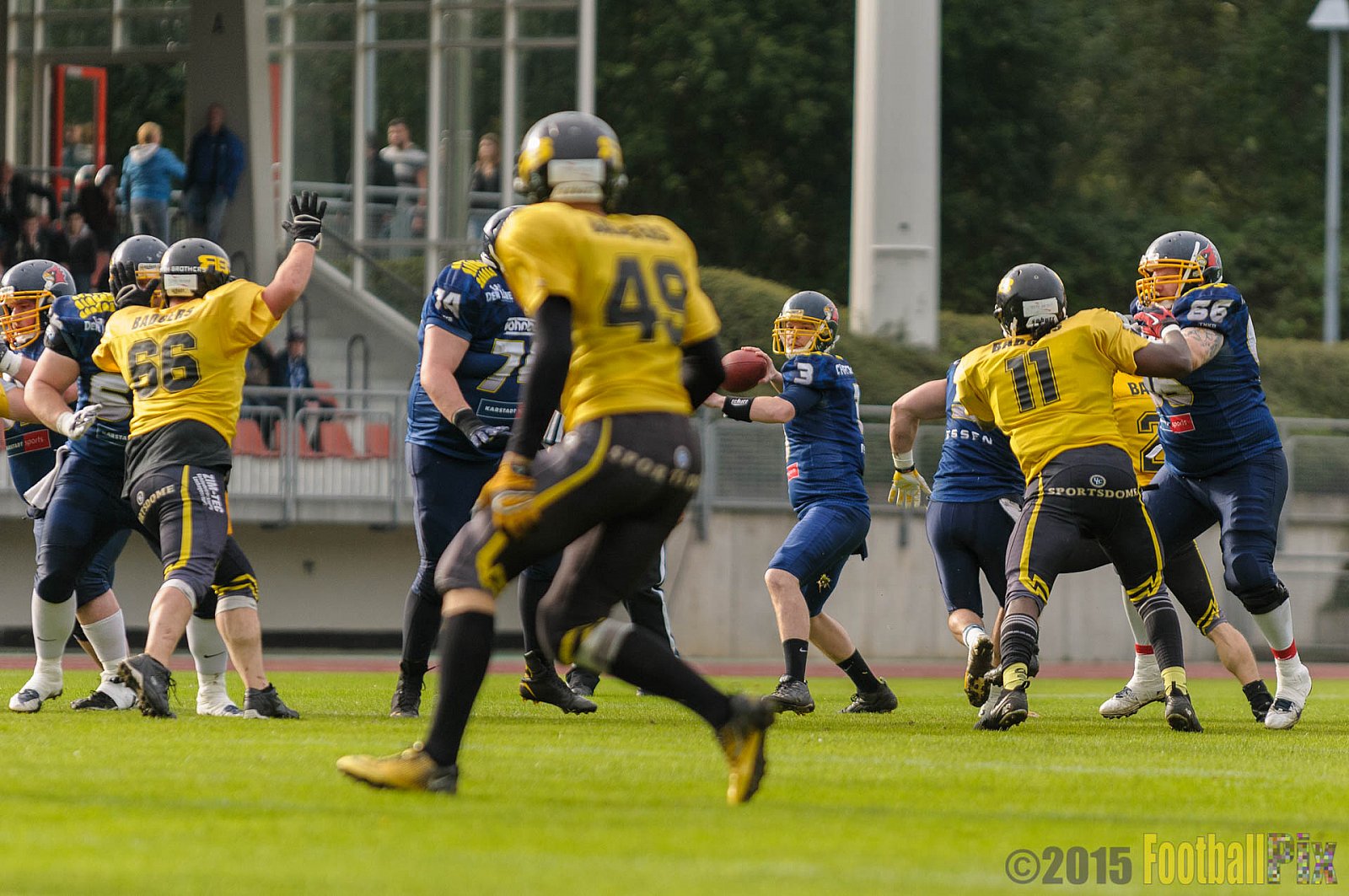 Essen Assindia Cardinals vs. Ritterhude Badgers - 19.09.2015 RL NRW: Essen Assindia Cardinals vs. Ritterhude Badgers (43:0)