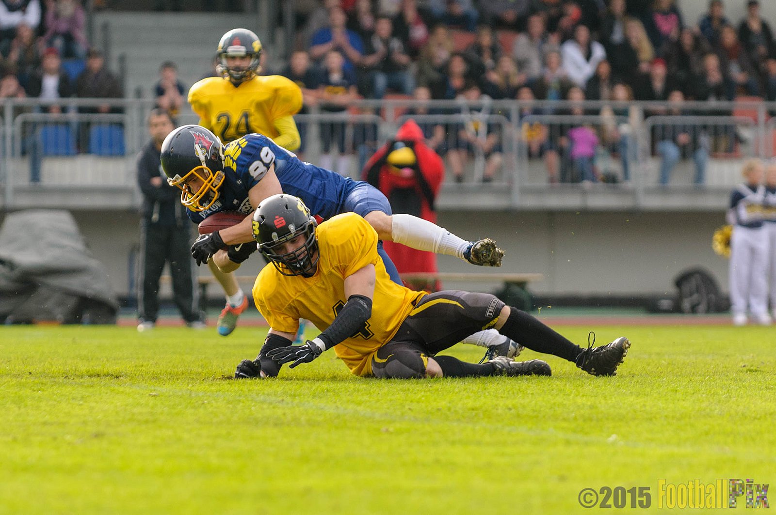 Essen Assindia Cardinals vs. Ritterhude Badgers - 19.09.2015 RL NRW: Essen Assindia Cardinals vs. Ritterhude Badgers (43:0)