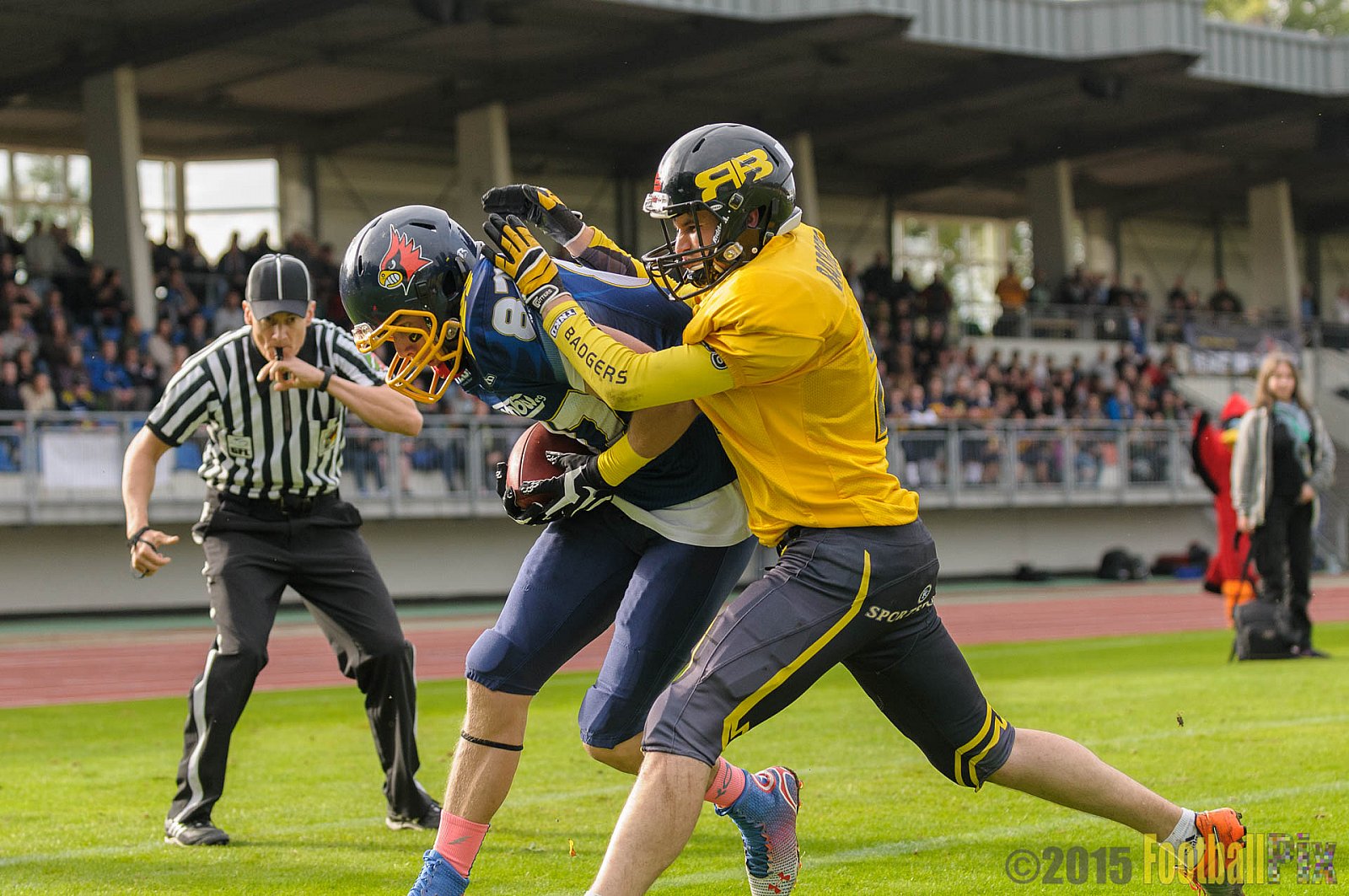 Essen Assindia Cardinals vs. Ritterhude Badgers - 19.09.2015 RL NRW: Essen Assindia Cardinals vs. Ritterhude Badgers (43:0)