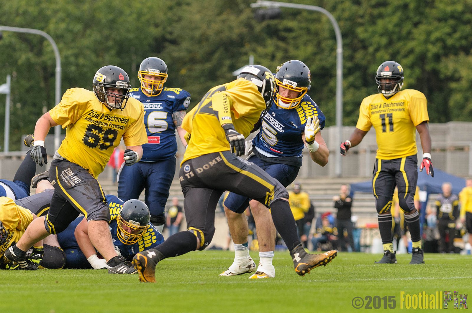 Essen Assindia Cardinals vs. Ritterhude Badgers - 19.09.2015 RL NRW: Essen Assindia Cardinals vs. Ritterhude Badgers (43:0)