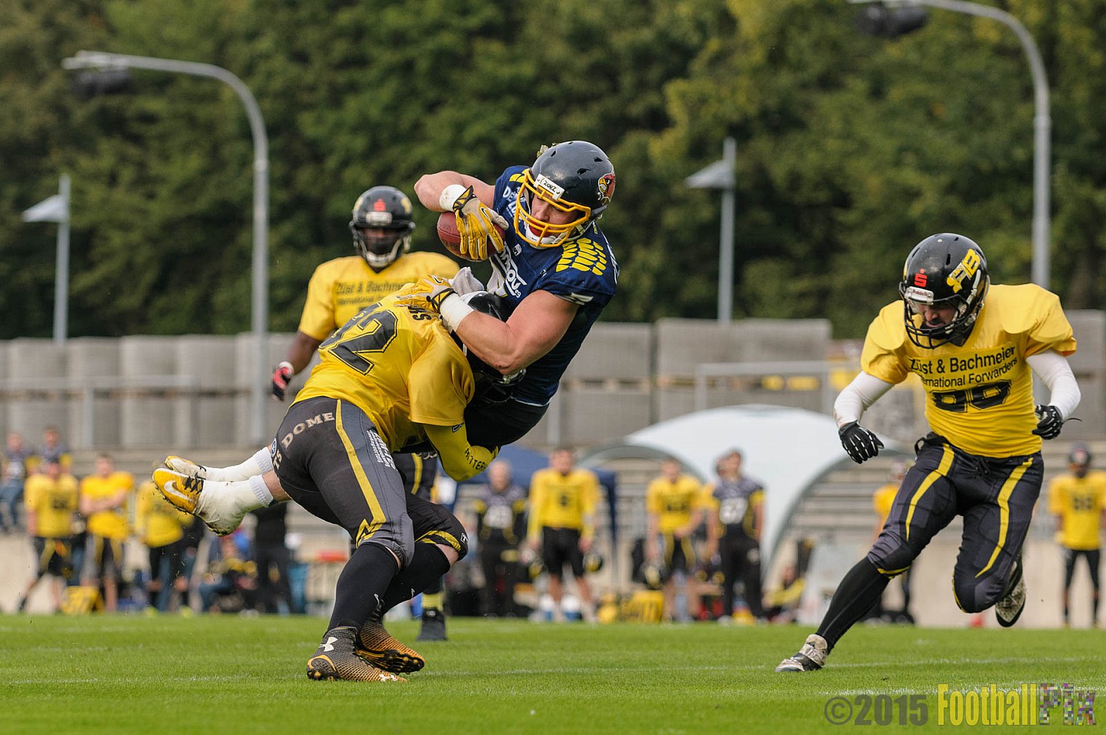 Essen Assindia Cardinals vs. Ritterhude Badgers - 19.09.2015 RL NRW: Essen Assindia Cardinals vs. Ritterhude Badgers (43:0)